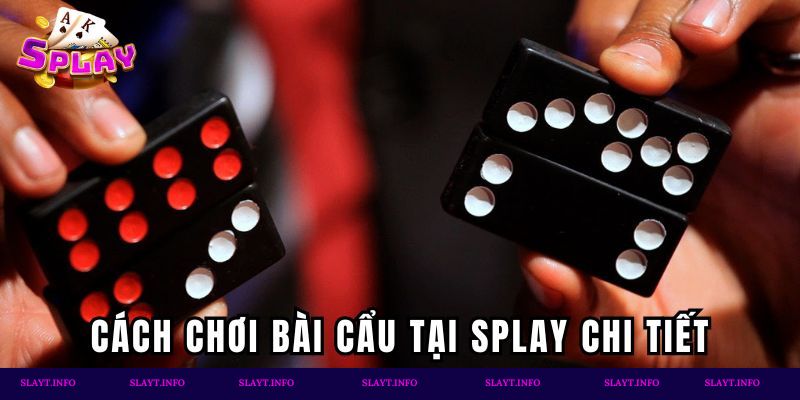 Cách chơi Bài Cẩu tại Splay chi tiết nhất