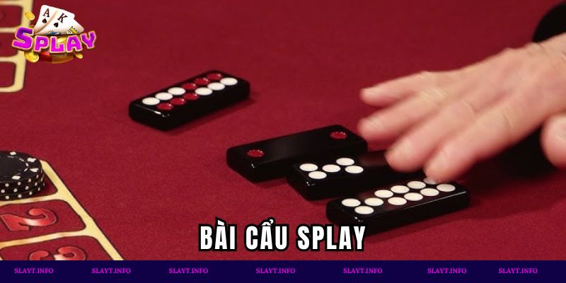 Bài cẩu Splay