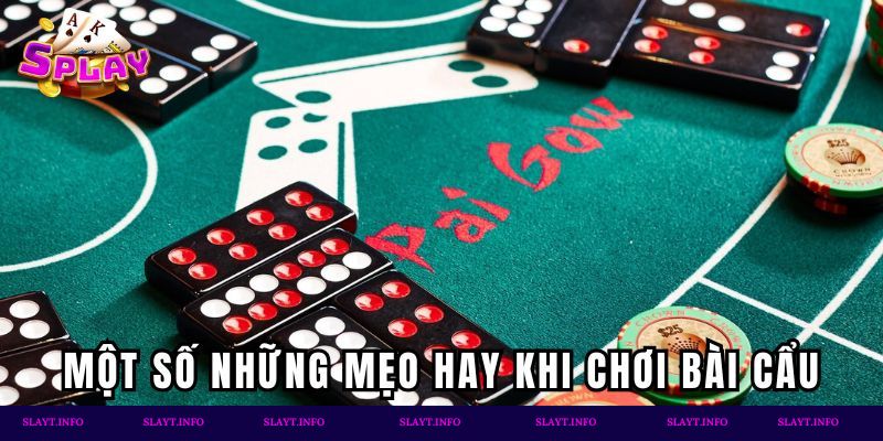 Một số những mẹo hay khi chơi Bài Cẩu Splay