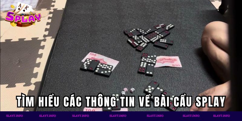 Tìm hiểu các thông tin về Bài Cẩu Splay