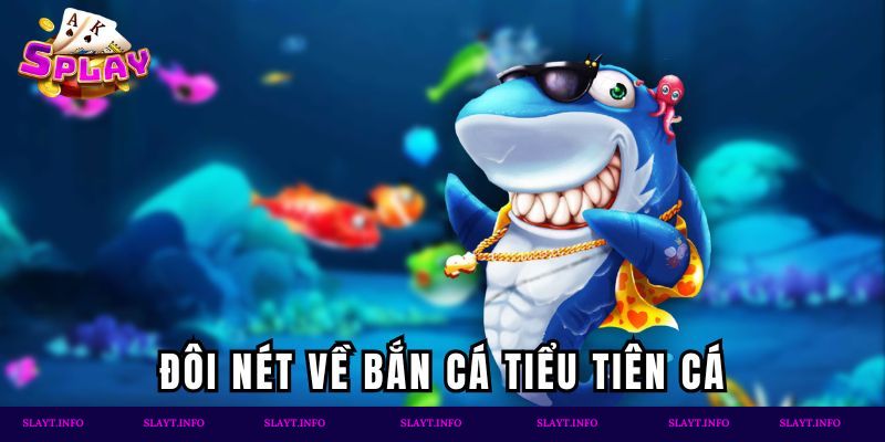 Đôi nét về bắn cá tiểu tiên cá