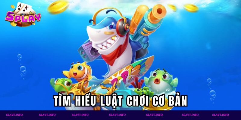Tìm hiểu luật chơi cơ bản