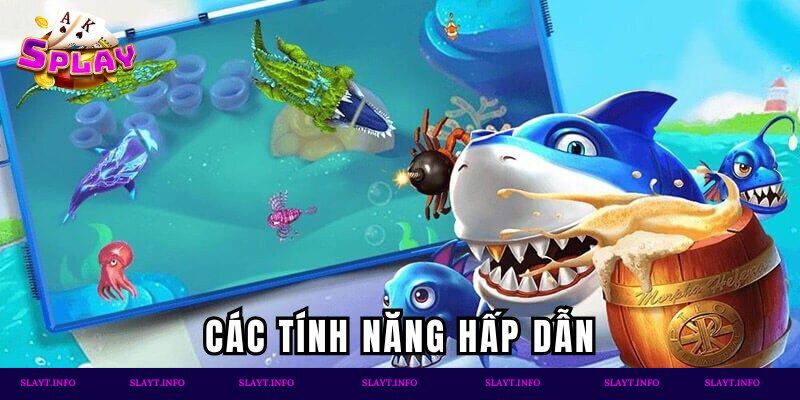 Các tính năng hấp dẫn trong săn cá