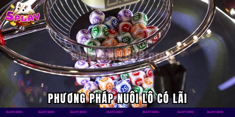 Phương pháp nuôi lô có lãi
