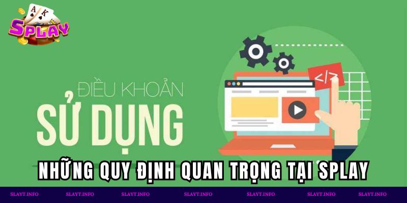 Những quy định sử dụng quan trọng tại SPLAY
